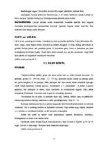 Referāts 'Dzīvnieki', 15.