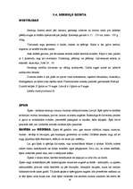 Referāts 'Dzīvnieki', 16.