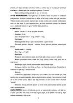 Referāts 'Dzīvnieki', 18.