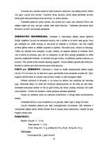 Referāts 'Dzīvnieki', 20.