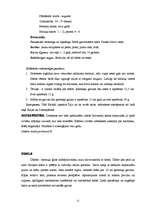 Referāts 'Dzīvnieki', 21.