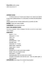 Referāts 'Dzīvnieki', 24.