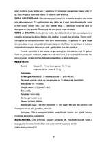 Referāts 'Dzīvnieki', 29.