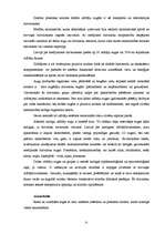 Referāts 'Dzīvnieki', 31.