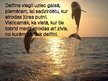 Prezentācija 'Delfīni', 8.
