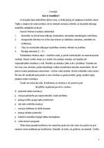 Referāts 'Konfliktregulējošā saskarsme', 4.