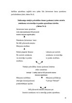 Diplomdarbs 'Pašvaldību lēmumu veidi publisko tiesību jomā', 36.