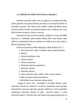 Diplomdarbs 'Pašvaldību lēmumu veidi publisko tiesību jomā', 48.