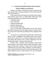 Diplomdarbs 'SIA "X" fianšu analīze', 20.