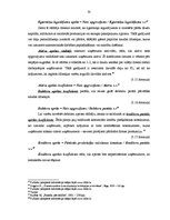 Diplomdarbs 'SIA "X" fianšu analīze', 33.