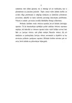 Referāts 'Politiskā kultūra', 4.