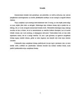 Konspekts 'Profesionālie mazgāšanas līdzekļi', 2.