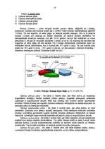 Prakses atskaite 'SEB Unibankas darbības analīze', 33.