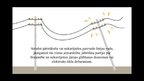 Prezentācija 'Elektriskās strāvas bīstamība', 9.