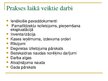 Prezentācija 'Grāmatvedības kvalifikācijas prakses prezentācija', 5.