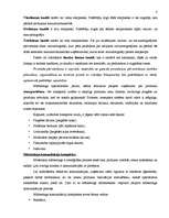 Konspekts 'Sadales kanāli un produktu pārvietošana', 2.