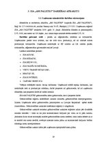 Prakses atskaite 'Debitoru uzskaite un analīze', 29.