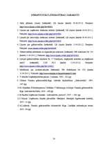 Prakses atskaite 'Debitoru uzskaite un analīze', 38.