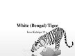 Prezentācija 'White Bengal Tiger', 1.