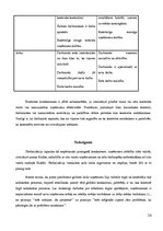 Referāts 'Globalizācija un uzņēmuma vadīšanas dinamiskuma aktualitāte', 24.
