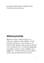 Referāts 'Gīzas piramīdas', 7.
