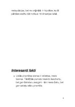 Referāts 'Gīzas piramīdas', 8.