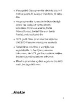 Referāts 'Gīzas piramīdas', 9.