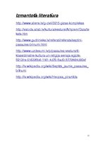 Referāts 'Gīzas piramīdas', 11.