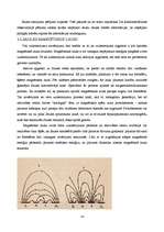 Referāts 'Saule un tās enerģija', 14.