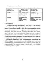 Referāts 'Saule un tās enerģija', 24.