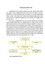 Referāts 'Uzņēmējdarbības vides aktualitātes - konkurences vides ietekme uz SIA "Dimdiņi"', 2.