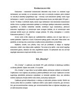 Referāts 'Uzņēmējdarbības vides aktualitātes - konkurences vides ietekme uz SIA "Dimdiņi"', 3.