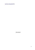 Referāts 'Kukuļdošanas krimināltiesiskie aspekti', 33.