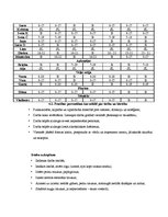 Prakses atskaite 'Prakse viesnīcā "Hotel de Rome"', 29.