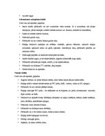 Prakses atskaite 'Prakse viesnīcā "Hotel de Rome"', 31.