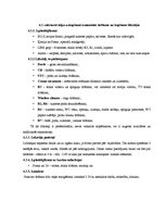 Prakses atskaite 'Prakse viesnīcā "Hotel de Rome"', 33.