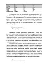 Referāts 'Konkurence starp Baltijas jūras austrumu piekrastes ostām', 7.