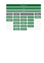 Referāts 'Ceļu satiksmes drošības direkcija', 7.