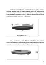 Referāts 'Rīgas siluets', 15.