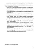 Referāts 'Rīgas siluets', 22.