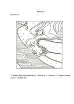 Referāts 'Rīgas siluets', 25.