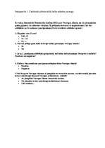 Referāts 'Rīgas siluets', 30.