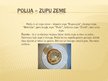 Prezentācija 'Poļu virtuve', 5.