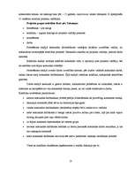 Diplomdarbs 'Projektu vadīšanas nozīme un problēmas uzņēmumā', 17.