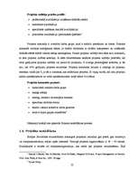 Diplomdarbs 'Projektu vadīšanas nozīme un problēmas uzņēmumā', 21.