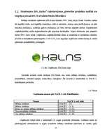 Diplomdarbs 'Projektu vadīšanas nozīme un problēmas uzņēmumā', 34.