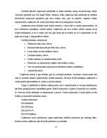 Diplomdarbs 'Projektu vadīšanas nozīme un problēmas uzņēmumā', 51.