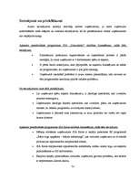 Diplomdarbs 'Projektu vadīšanas nozīme un problēmas uzņēmumā', 73.