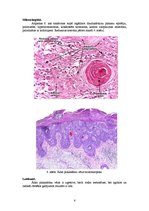 Referāts 'Kļūdu labojums patoloģijā', 6.