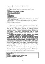 Referāts 'Kļūdu labojums patoloģijā', 8.